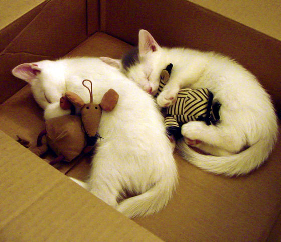 华体会app登入-中国足球防守压迫数据统计，足球防守队员压过了半场  第6张