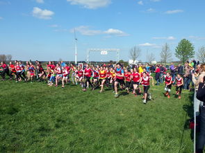 华体会在线-全国青少年劳动体育竞赛各项赛事激烈进行，全国青少年劳动体育竞赛各项赛事激烈进行的原因  第1张