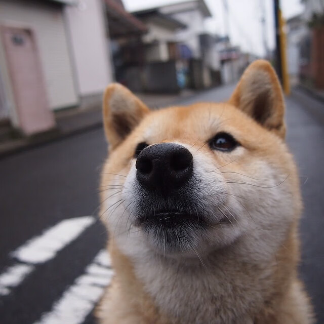 华体会网址-全国青少年迷你足球联赛吸引广泛关注，全国青少年足球赛事  第5张