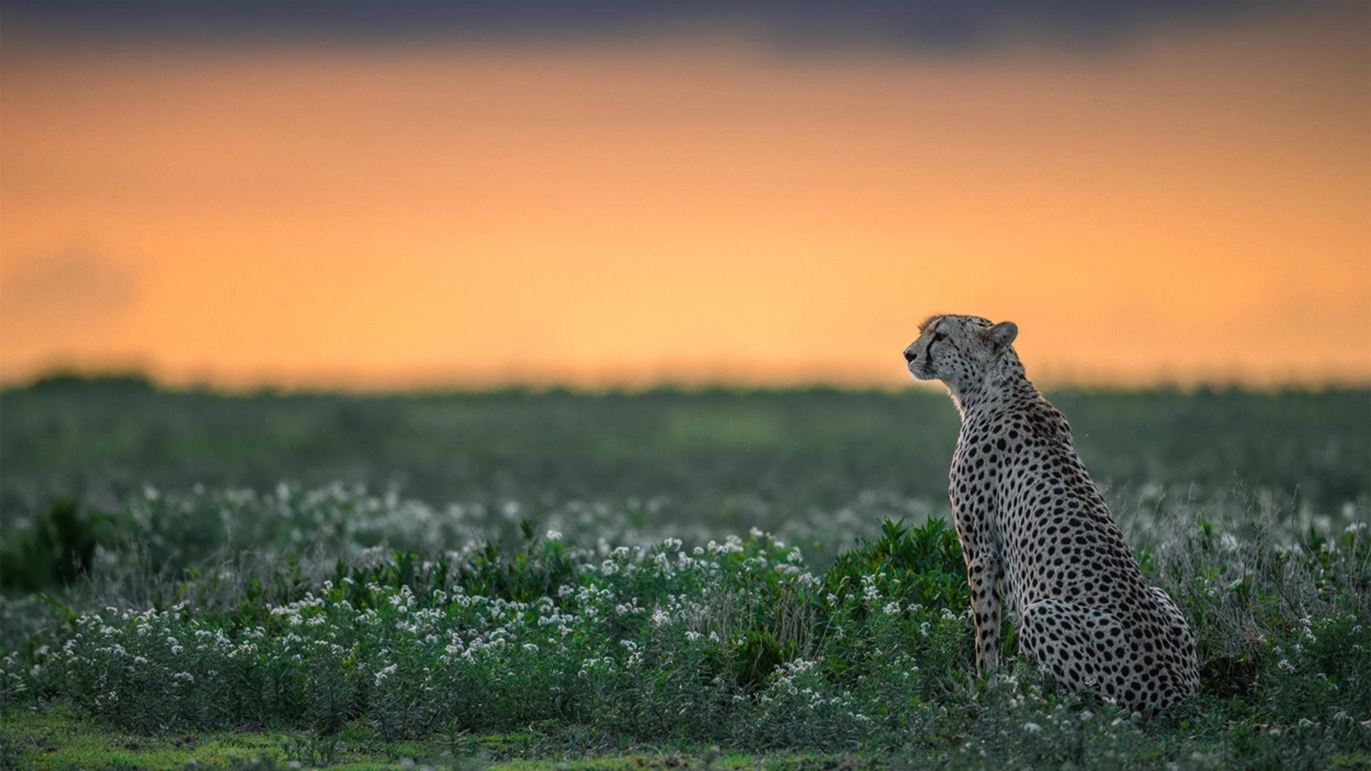 华体会登录地址-国足前场推进路线趋势对比,国足前四场比赛 第3张 华体会登录地址-国足前场推进路线趋势对比,国足前四场比赛 第3张