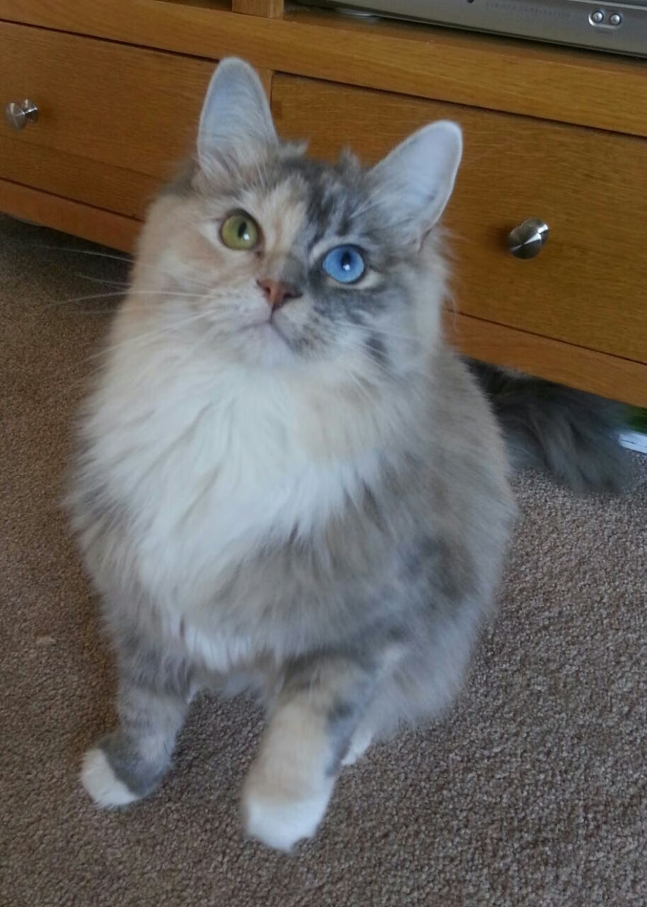 华体会app登入-国足比赛高压逼抢执行力度分析,足球高压战术 第3张 华体会app登入-国足比赛高压逼抢执行力度分析,足球高压战术 第3张