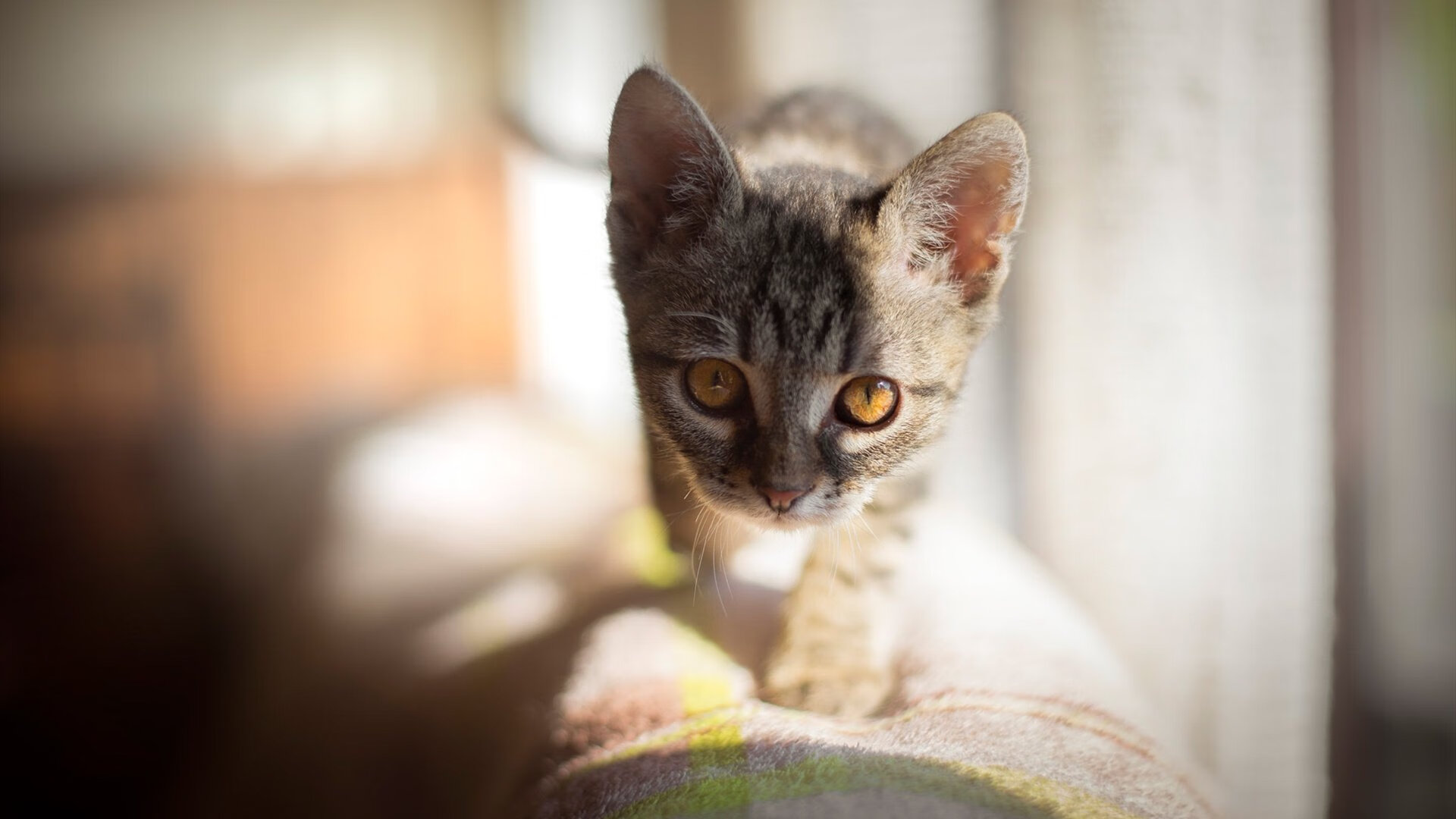 华体会在线登录-意甲球队通过数据分析优化中场组织效率，意甲中场排名  第4张