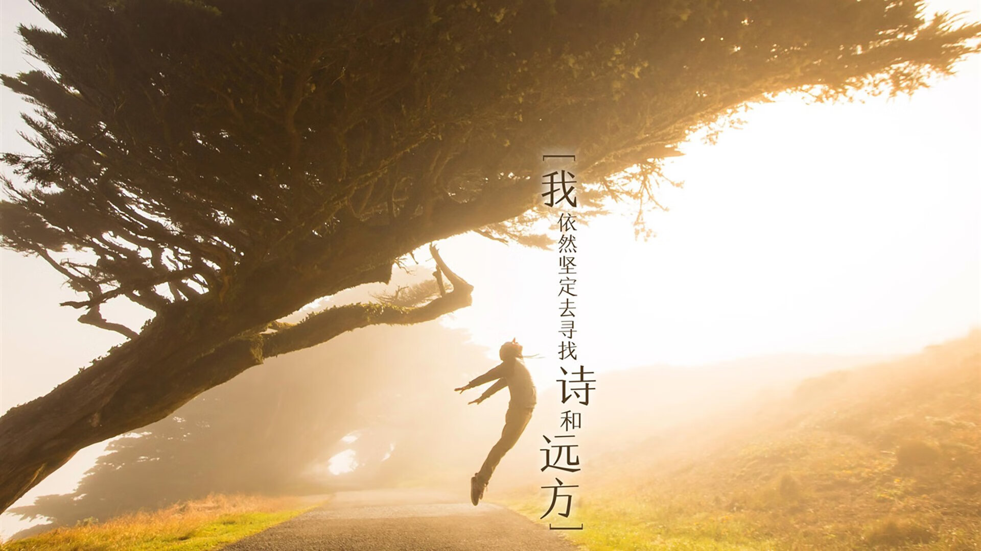 华体会登陆-未来世俱杯主办城市：哪些地方值得期待？，2021世俱杯承办城市揭晓  第4张