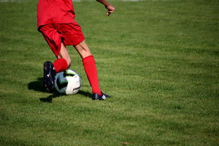 华体会-校园足球师资培训体系建设方案，校园足球特色学校教师(教练员)线上培训  第2张