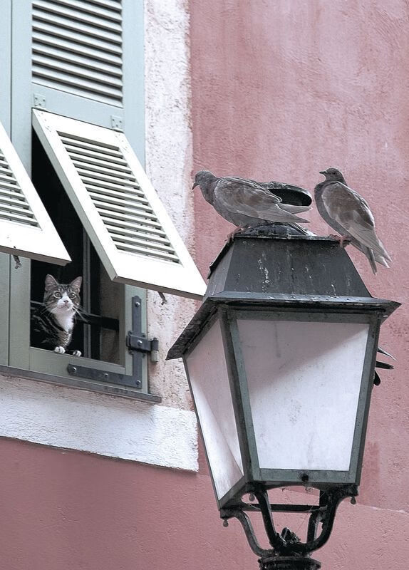 华体会-“简阳文体中心：羽毛球赛场上演世界级选手的快速激战”