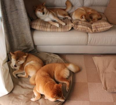 华体会app登入-五大联赛是否将球员切线意识列入基础战术素养评估，五大联赛球员进球排名  第4张