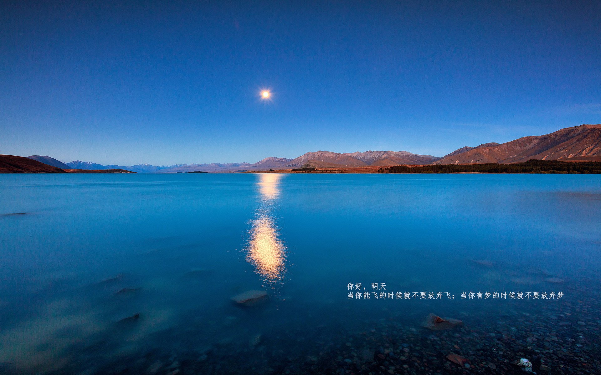 华体会官网入口-乔·莫伊：全黑队的scrum主宰，在攻防转换中提供关键保障，乔伊百科