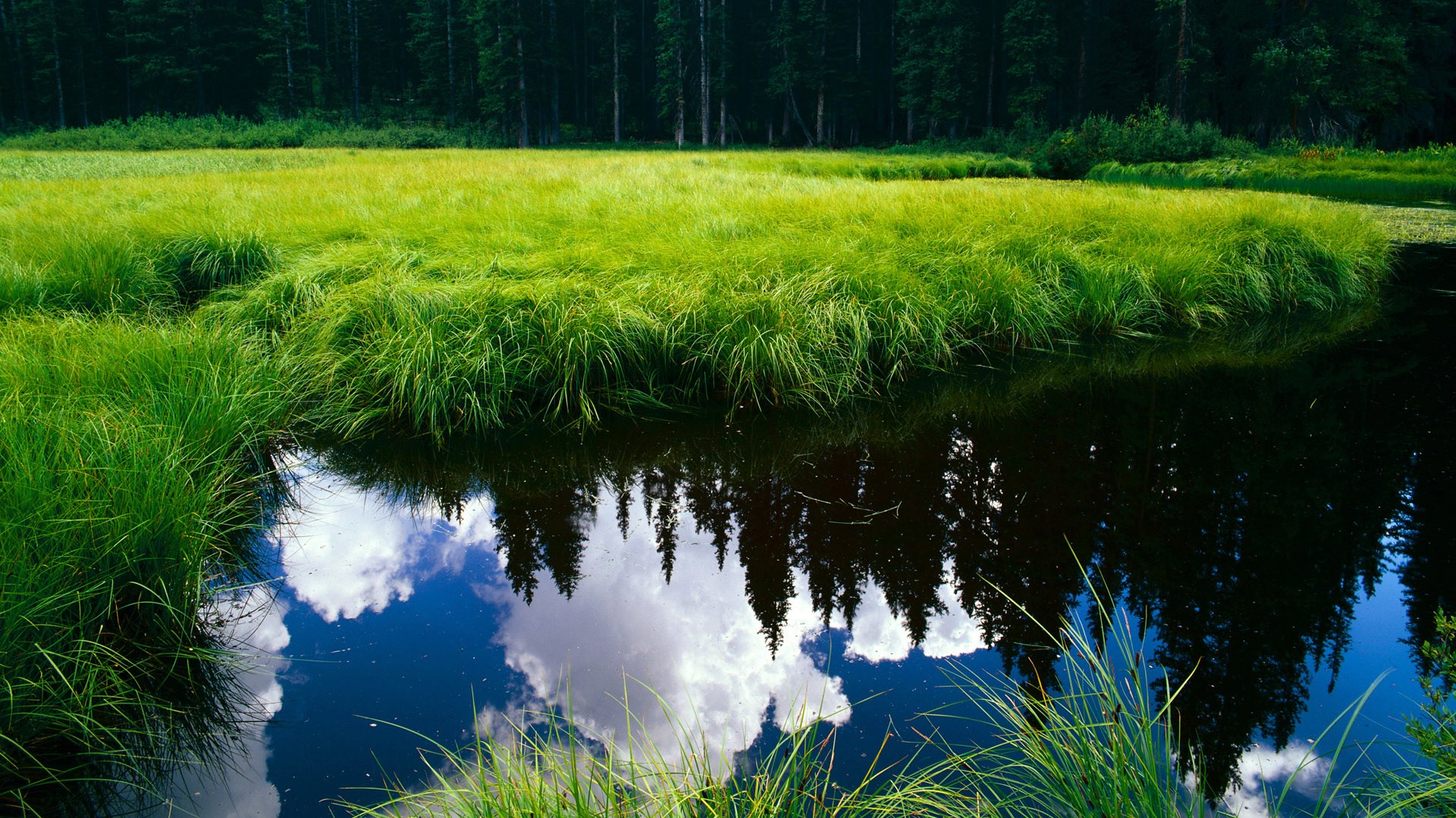 华体会app-公牛官方回应伤病问题表示情况稳定，公牛官方网站供应官方网站