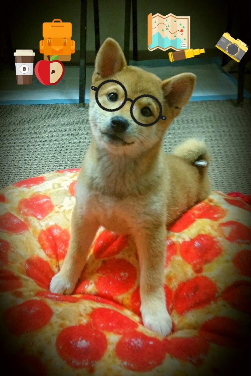 华体会app下载-国家体育传媒发布最新体育播客内容监管建议，体育频道播音员有哪些