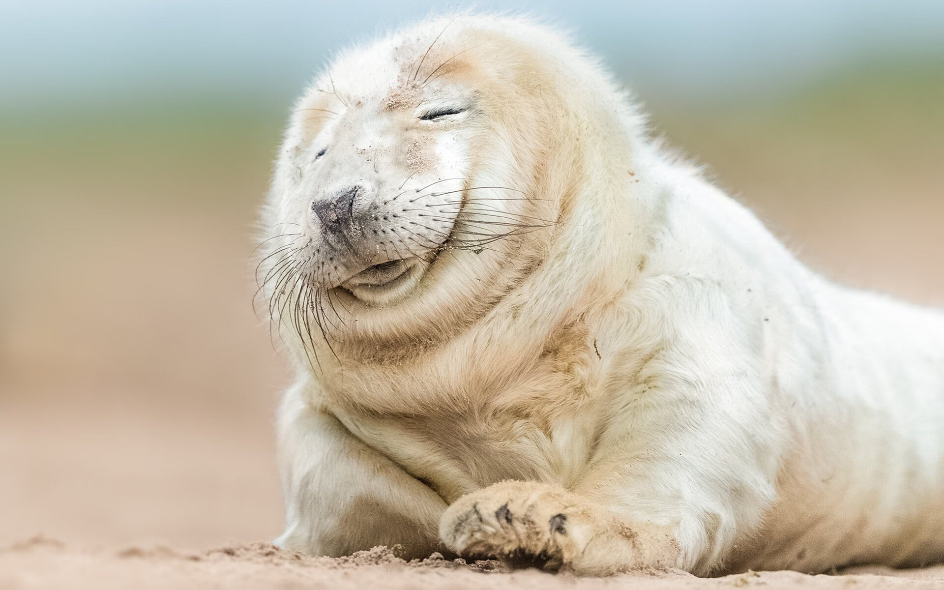 华体会在线下载-米兰双雄各显神通，争夺意甲冠军