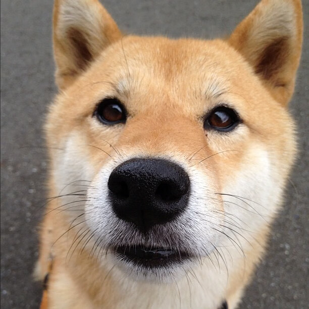 华体会app安装-西甲精彩绝伦：高手对决，火花四溅！，西甲经典比赛