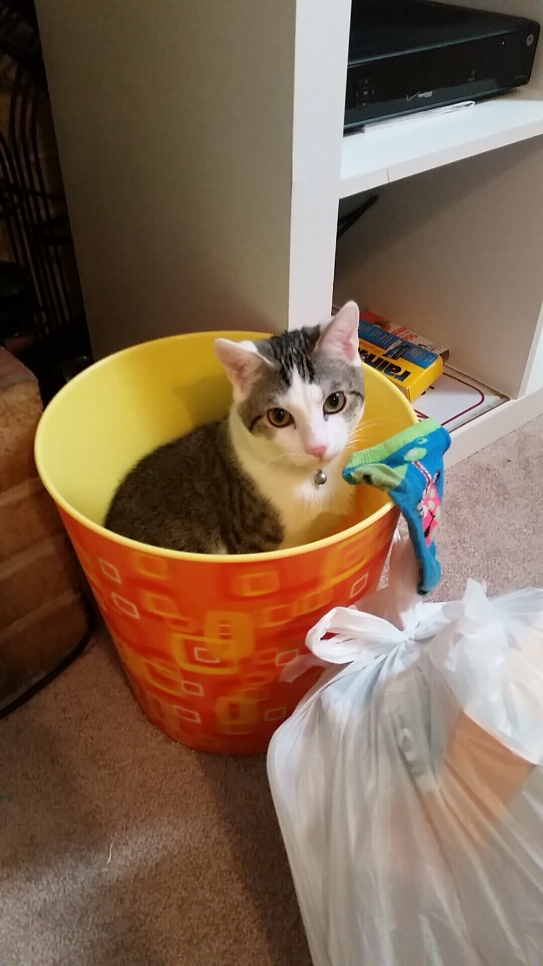 华体会登录-赞比亚男篮在非洲预赛中全力以赴，开启奥运新篇，赞比亚篮球运动员