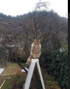 华体会app下载-2024巴黎奥运场馆展现巴黎魅力与活力，2024巴黎奥运会有什么项目