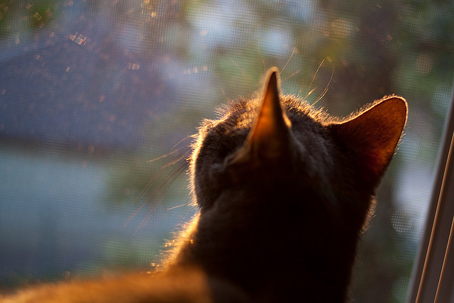 华体会登录地址-克洛普批赛事拖累球员休息周期：体能隐患引担忧